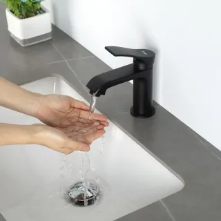 Смеситель для раковины Frap F1075-6 черный